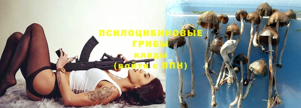 PSILOCYBIN Алексин