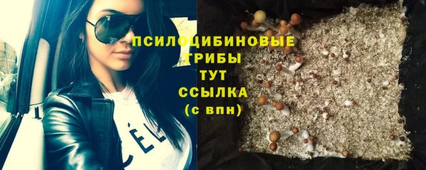 а пвп мука Алзамай