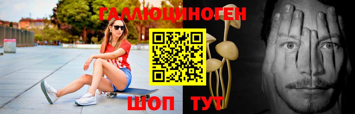 Галлюциногенные грибы Cubensis  Вход с VPN  Галлюциногенные грибы прущие грибы  Пермь 